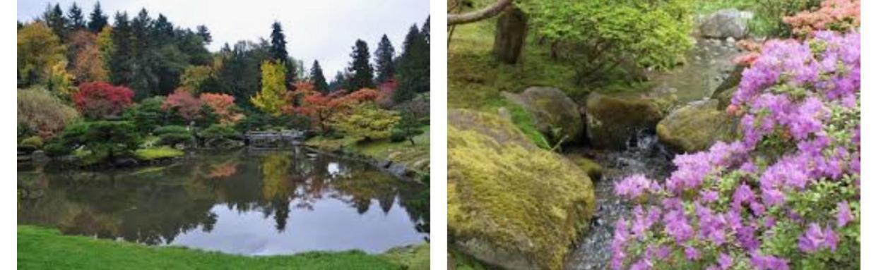 Arboretum Escape Villa Seattle Bagian luar foto